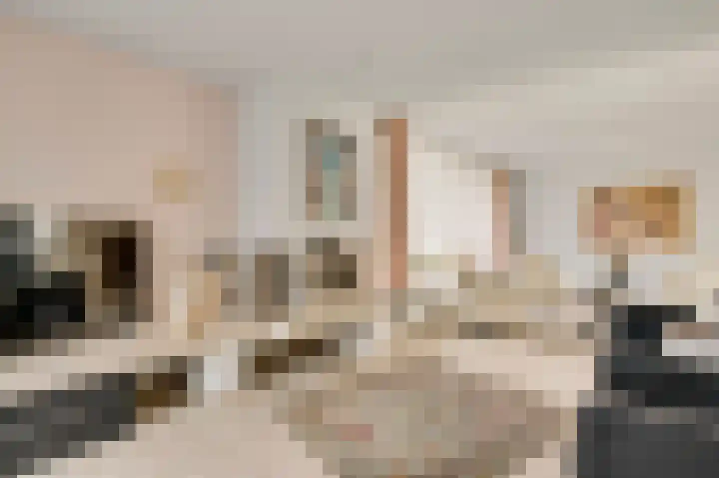 Putgang 3 Kerkrade thumbnail 9
