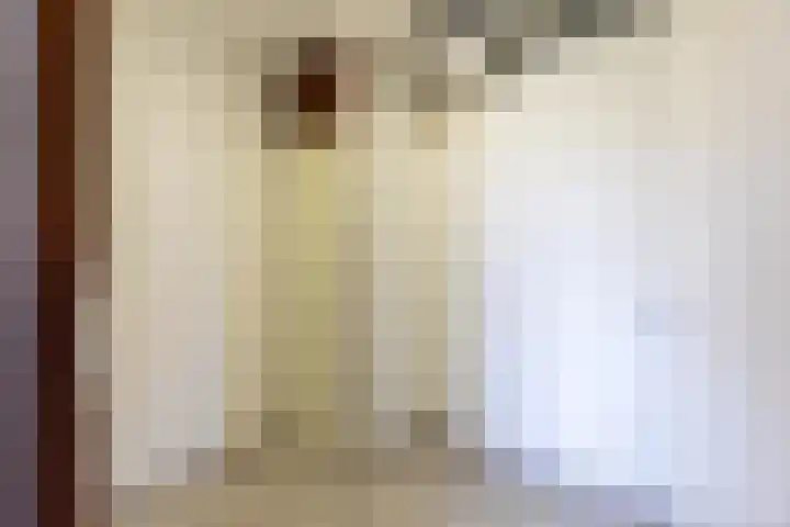 Putgraaf 126 Heerlen thumbnail 12