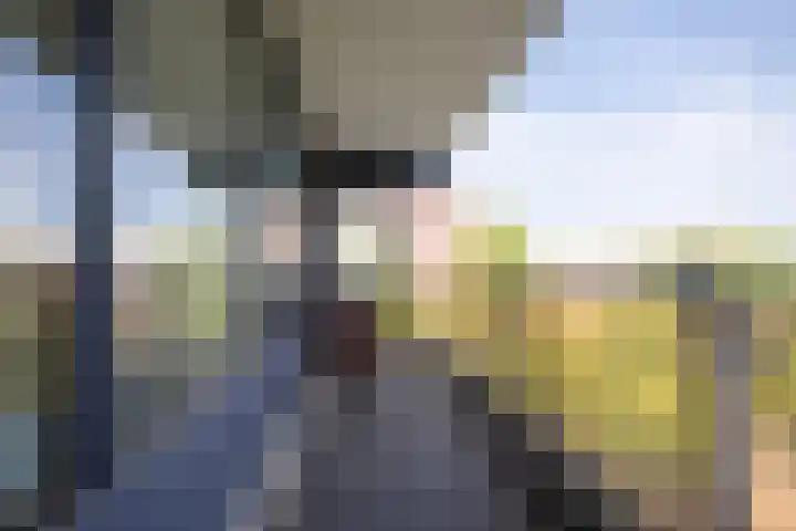 Putgraaf 126 Heerlen thumbnail 7