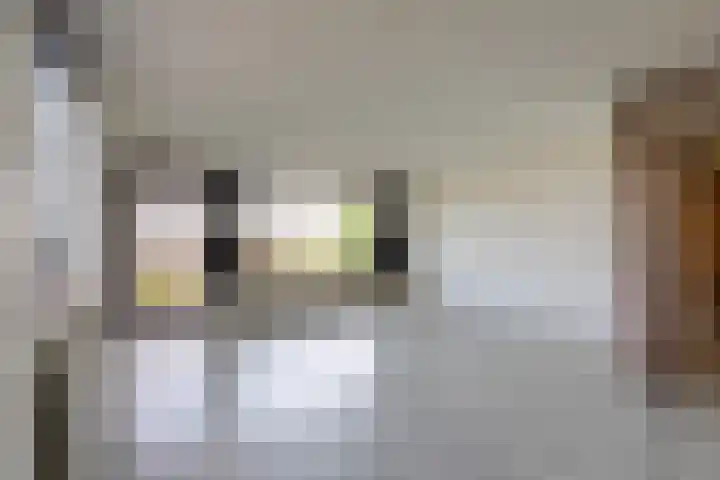 Putgraaf 126 Heerlen thumbnail 8