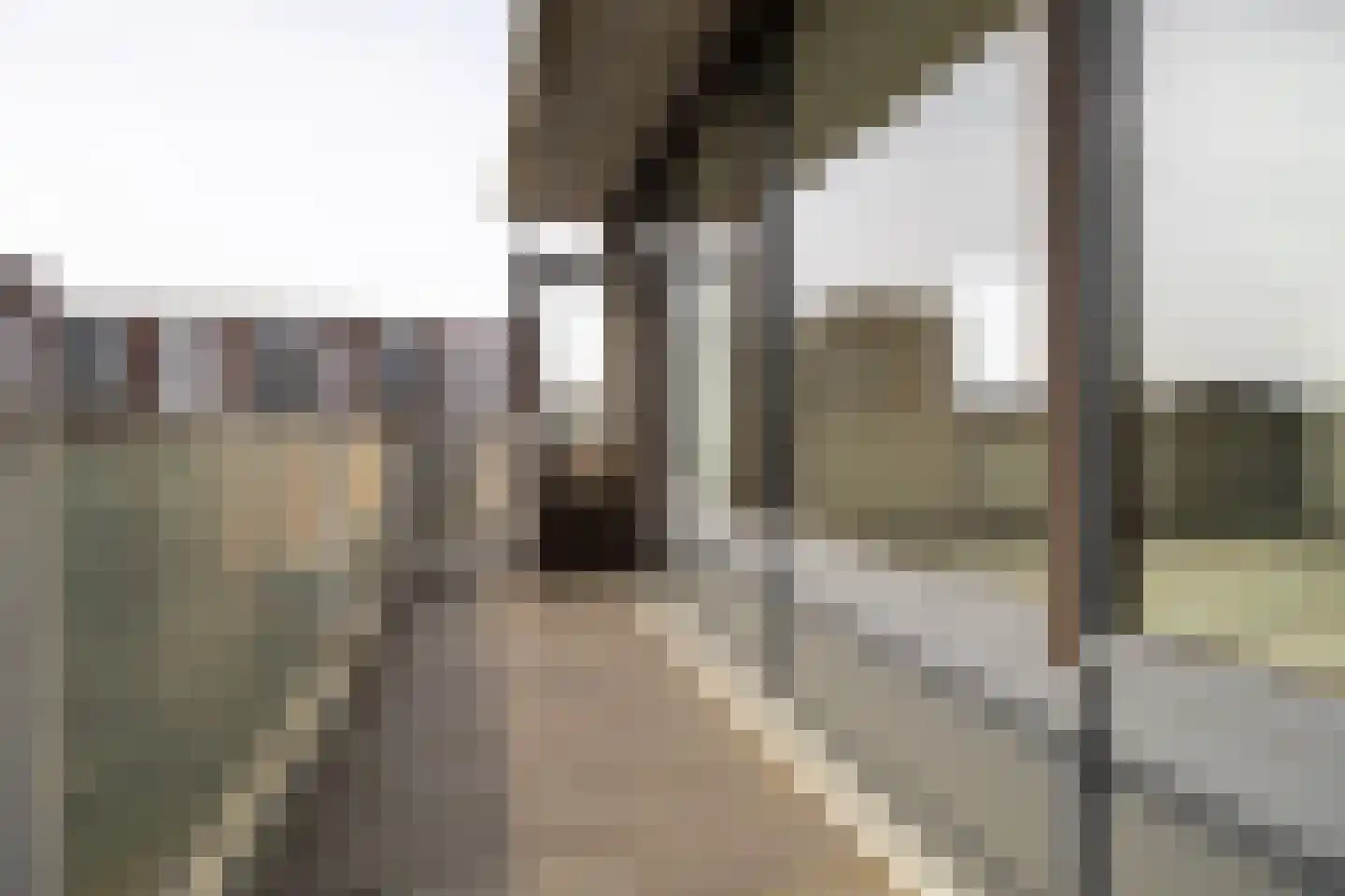 Putgraaf 178 Heerlen thumbnail 7