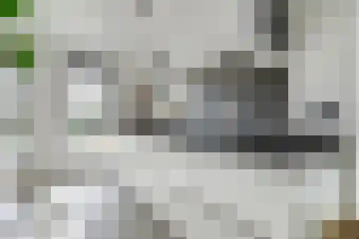 Putgraaf 18 Heerlen thumbnail 29