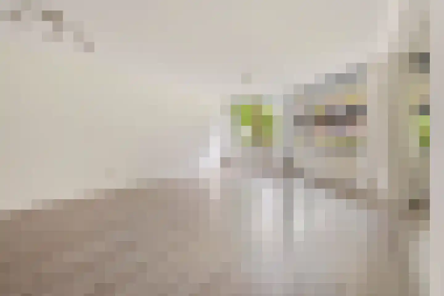 Putgraaf 201 Heerlen thumbnail 10