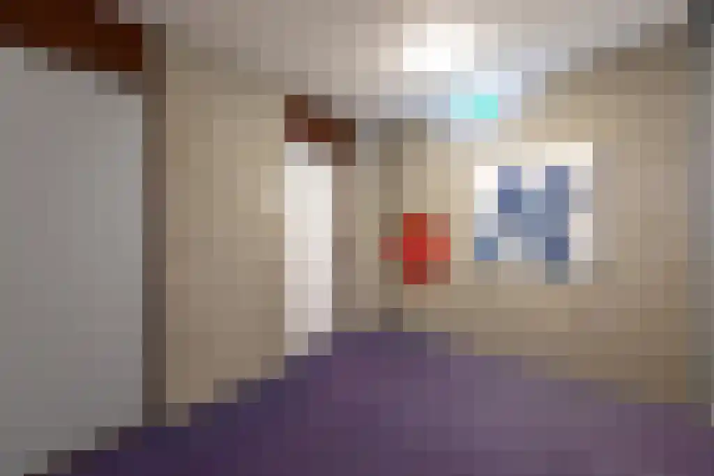 Putgraaf 207 Heerlen thumbnail 15