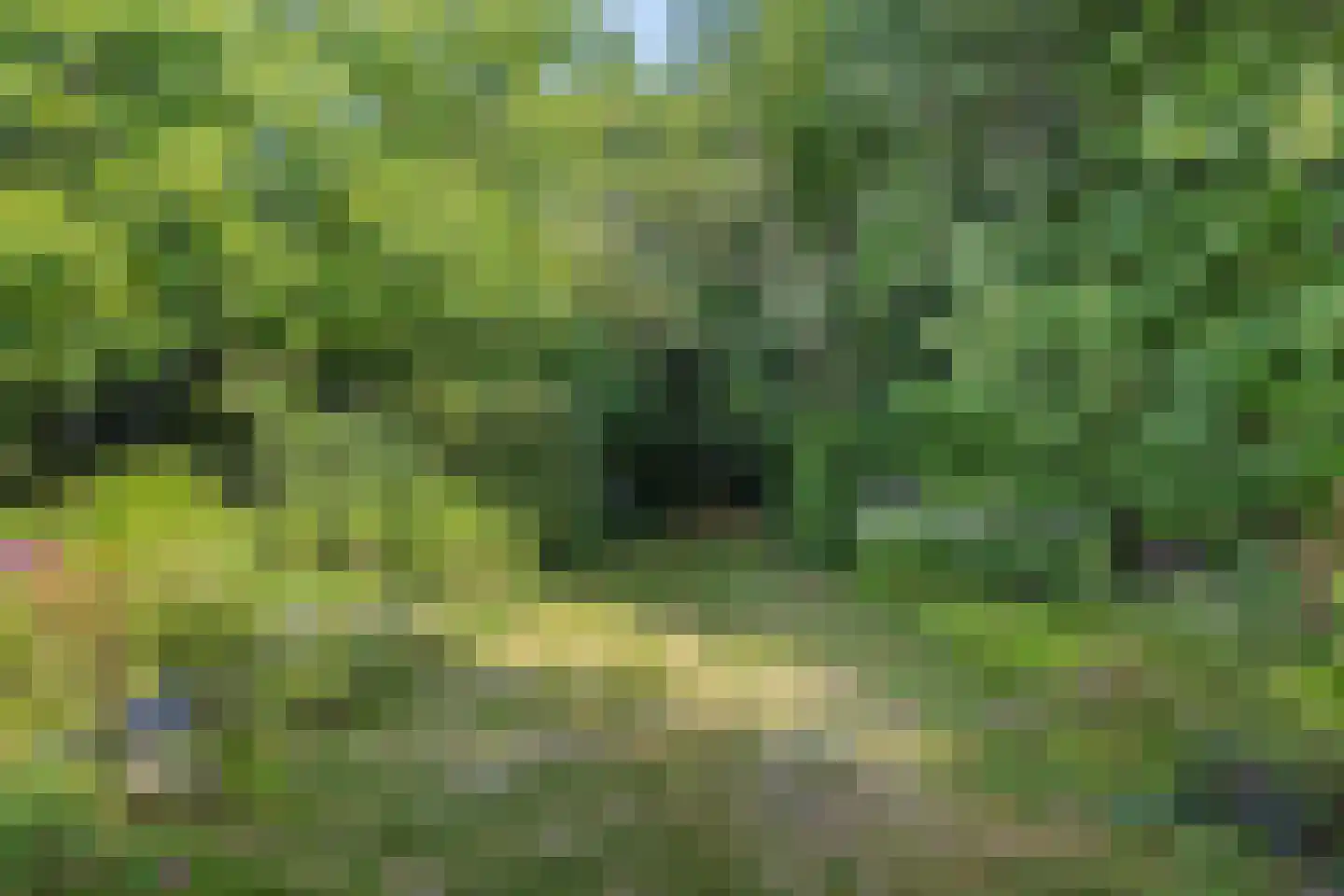 Putgraaf 245 Heerlen thumbnail 12