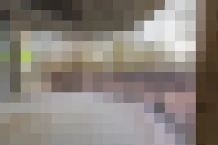 Putgraaf 245 Heerlen thumbnail 17