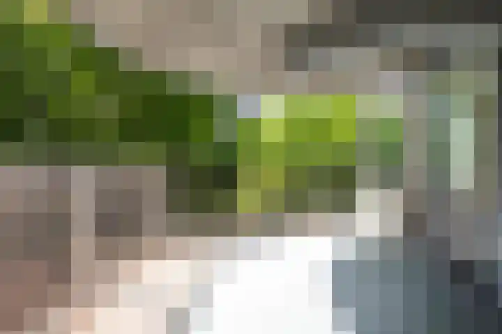 Putgraaf 277 Heerlen thumbnail 9
