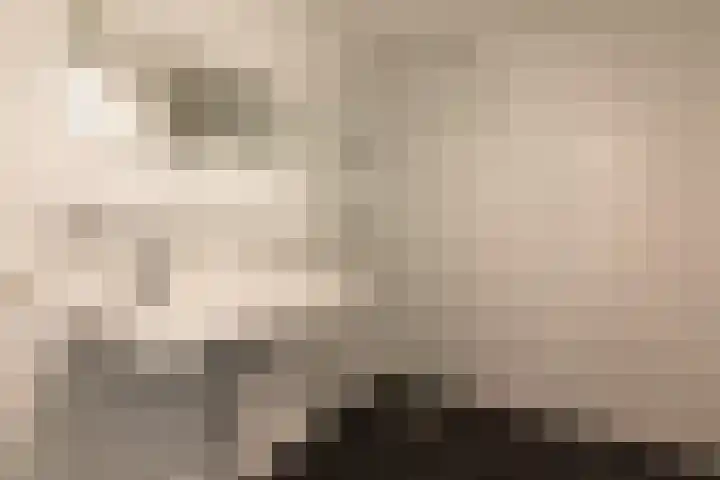 Putgraaf 315 Heerlen thumbnail 10