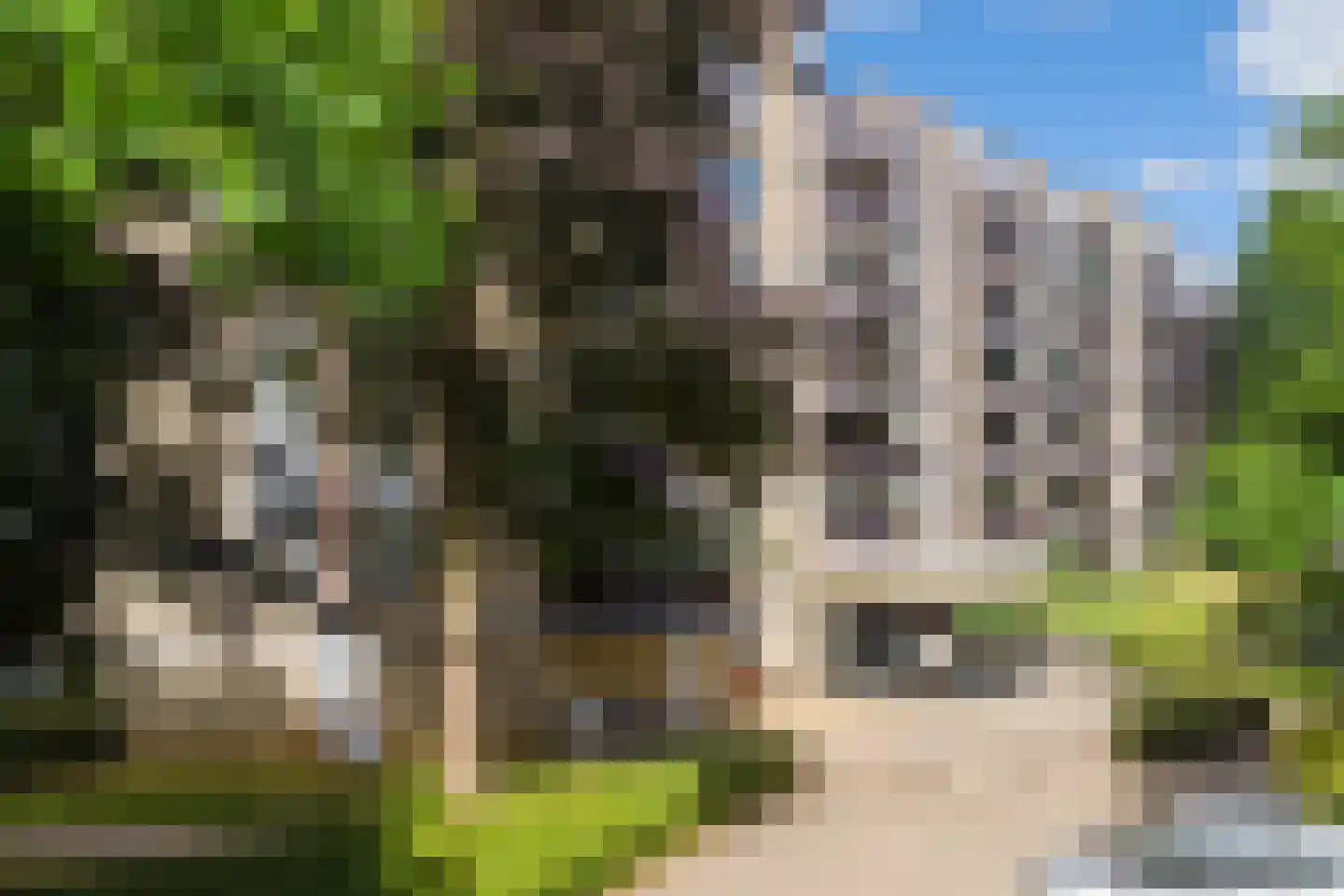 Putgraaf 319 Heerlen
