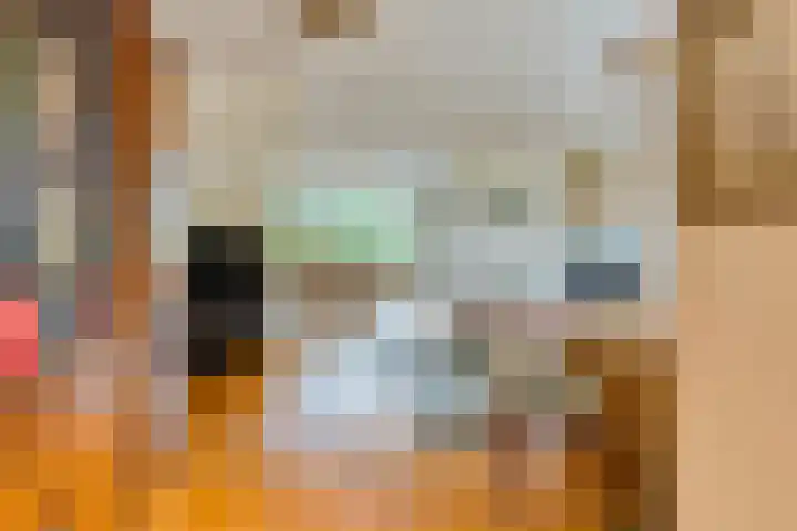 Puthof 25 Eindhoven thumbnail 14