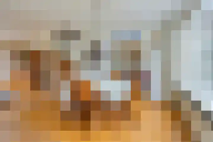 Puthof 25 Eindhoven thumbnail 17