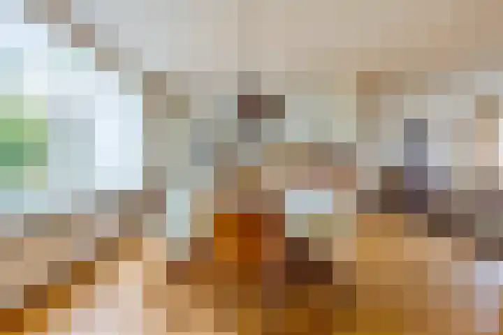 Puthof 25 Eindhoven thumbnail 20