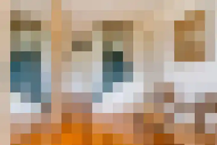 Puthof 25 Eindhoven thumbnail 26