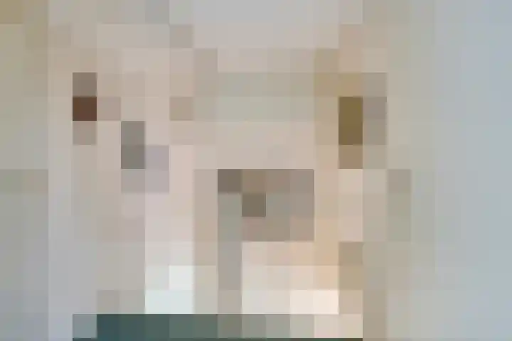 Puthof 25 Eindhoven thumbnail 34