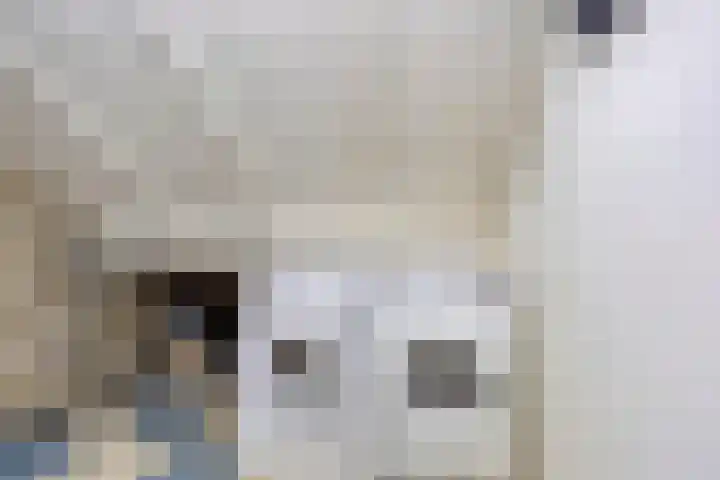 Puthof 25 Eindhoven thumbnail 36