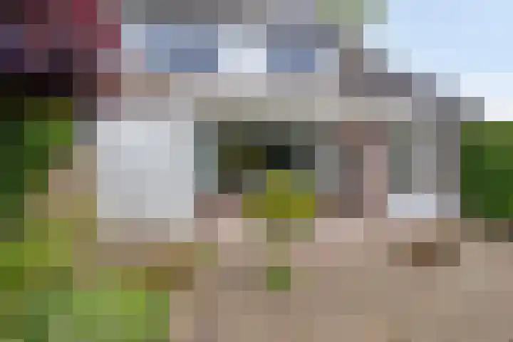 Puthof 25 Eindhoven thumbnail 39