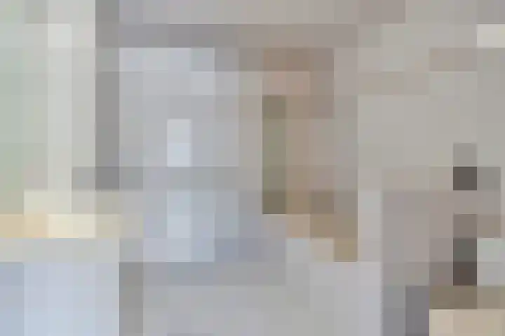 Puthof 25 Eindhoven thumbnail 4