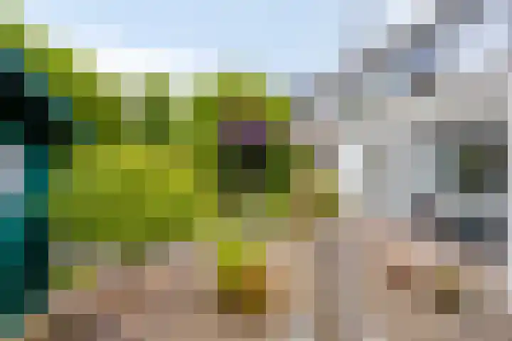 Puthof 25 Eindhoven thumbnail 40