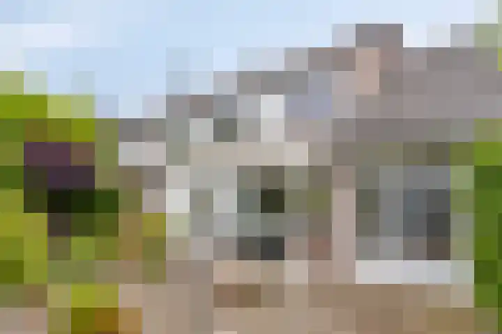 Puthof 25 Eindhoven thumbnail 41