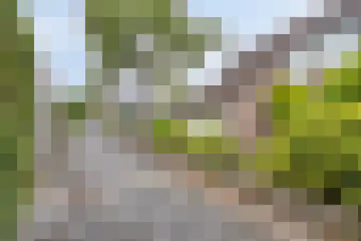 Puthof 25 Eindhoven thumbnail 43