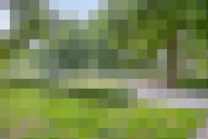 Puthof 25 Eindhoven thumbnail 45