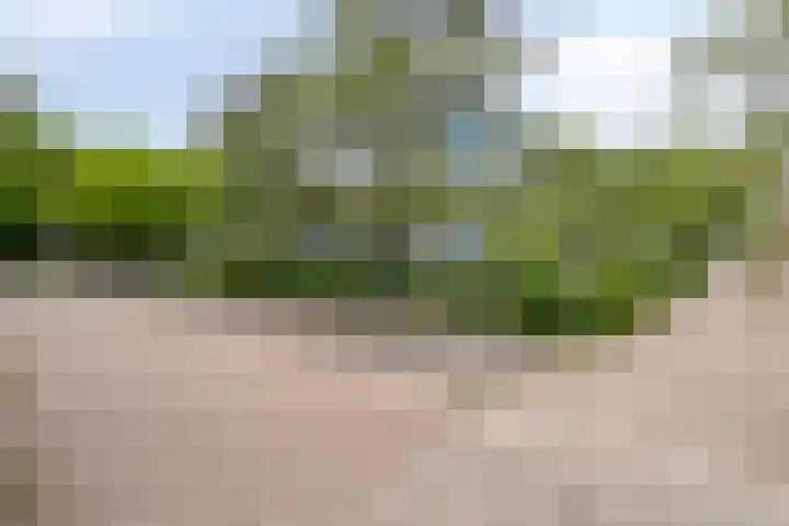 Puthof 25 Eindhoven thumbnail 46