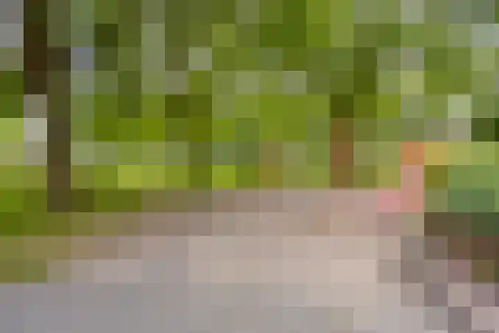 Puthof 25 Eindhoven thumbnail 47