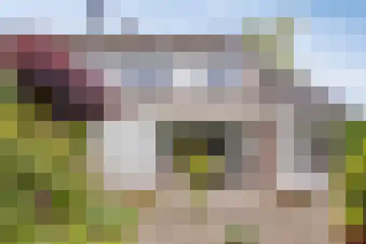 Puthof 25 Eindhoven thumbnail 5