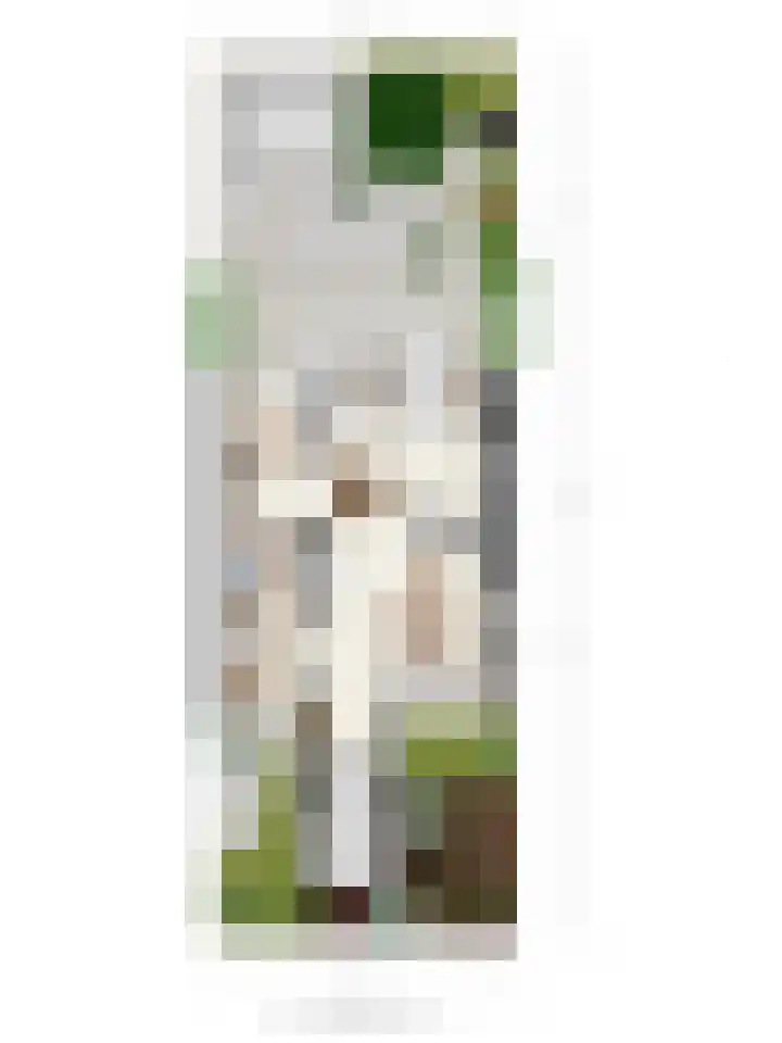 Puthof 25 Eindhoven thumbnail 53