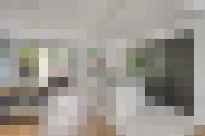 Puthof 29 Eindhoven thumbnail 10