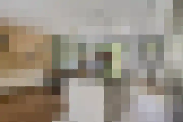 Puthof 29 Eindhoven thumbnail 11