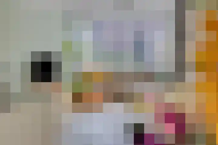 Puthof 29 Eindhoven thumbnail 16