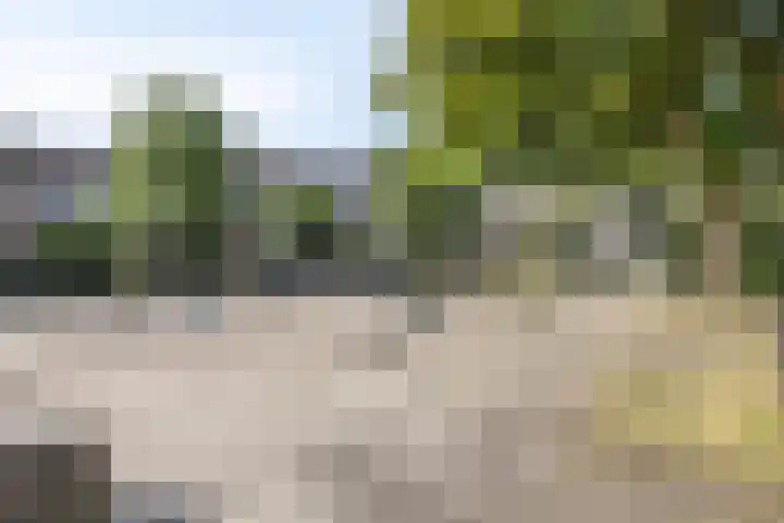 Puthof 29 Eindhoven thumbnail 35