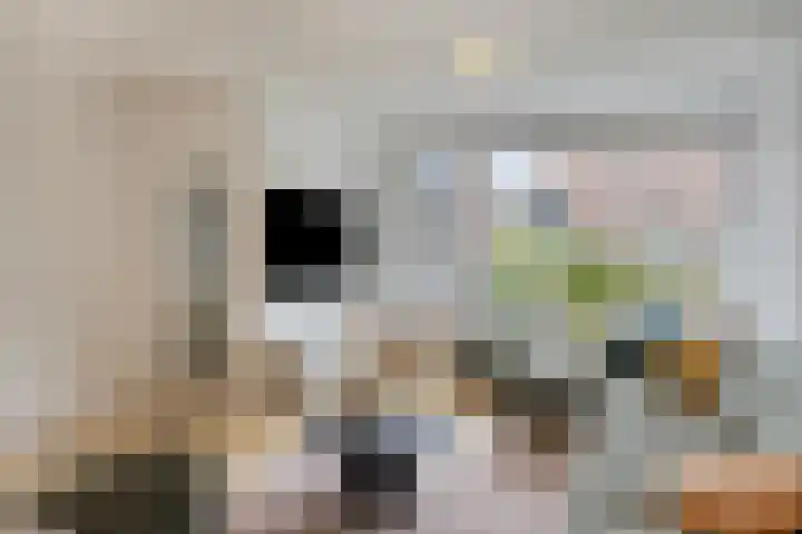 Puthof 31 Eindhoven thumbnail 12
