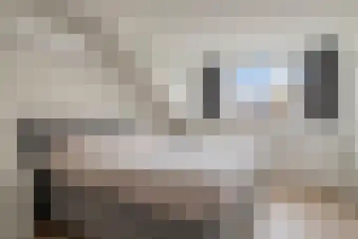 Puthof 31 Eindhoven thumbnail 33