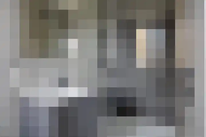 Puthof 31 Eindhoven thumbnail 35