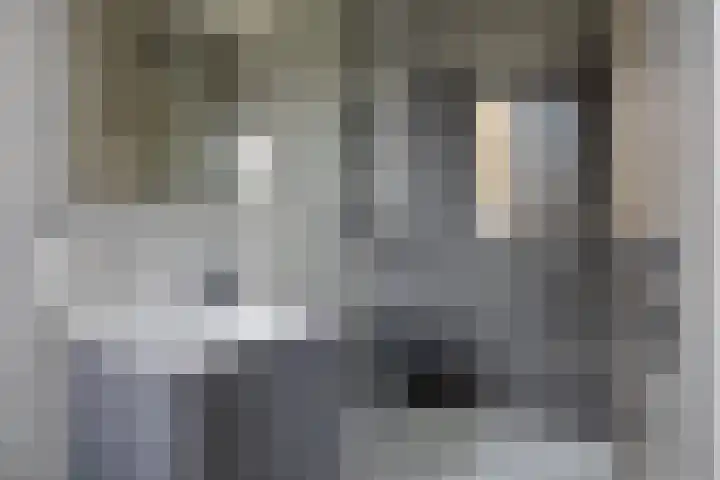 Puthof 31 Eindhoven thumbnail 5