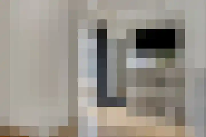 Puthof 31 Eindhoven thumbnail 8