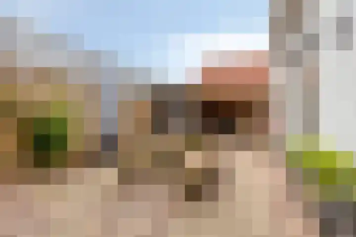 Putkop 6 Harmelen thumbnail 23