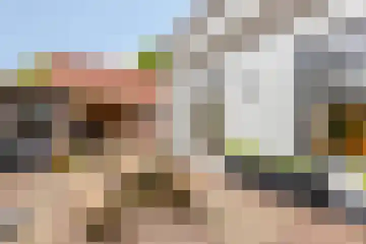 Putkop 6 Harmelen thumbnail 24