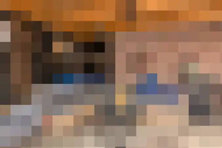 Putkop 6 Harmelen thumbnail 26