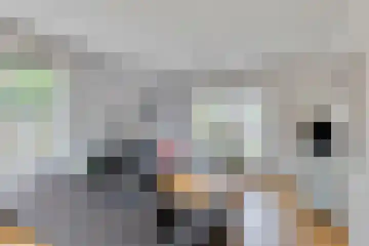 Putkop 6 Harmelen thumbnail 4