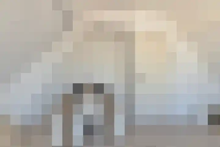 Putsebocht 127 B 02 Rotterdam thumbnail 21