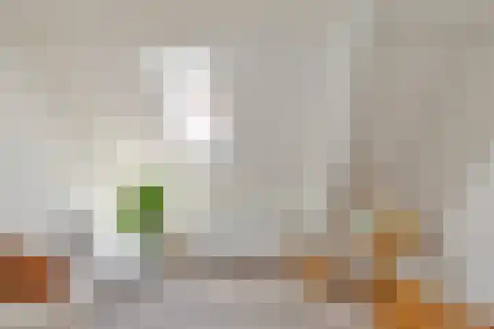 Putsebocht 127 B 02 Rotterdam thumbnail 26