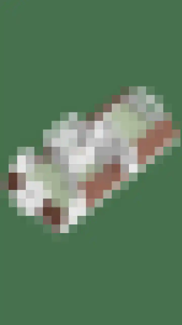 Putsebocht 127 B 02 Rotterdam thumbnail 32
