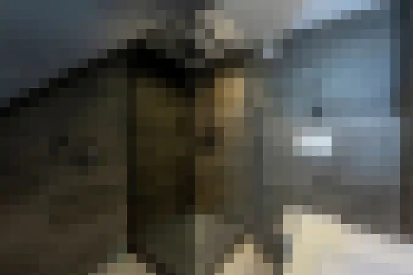Putsebocht 145 Rotterdam thumbnail 17