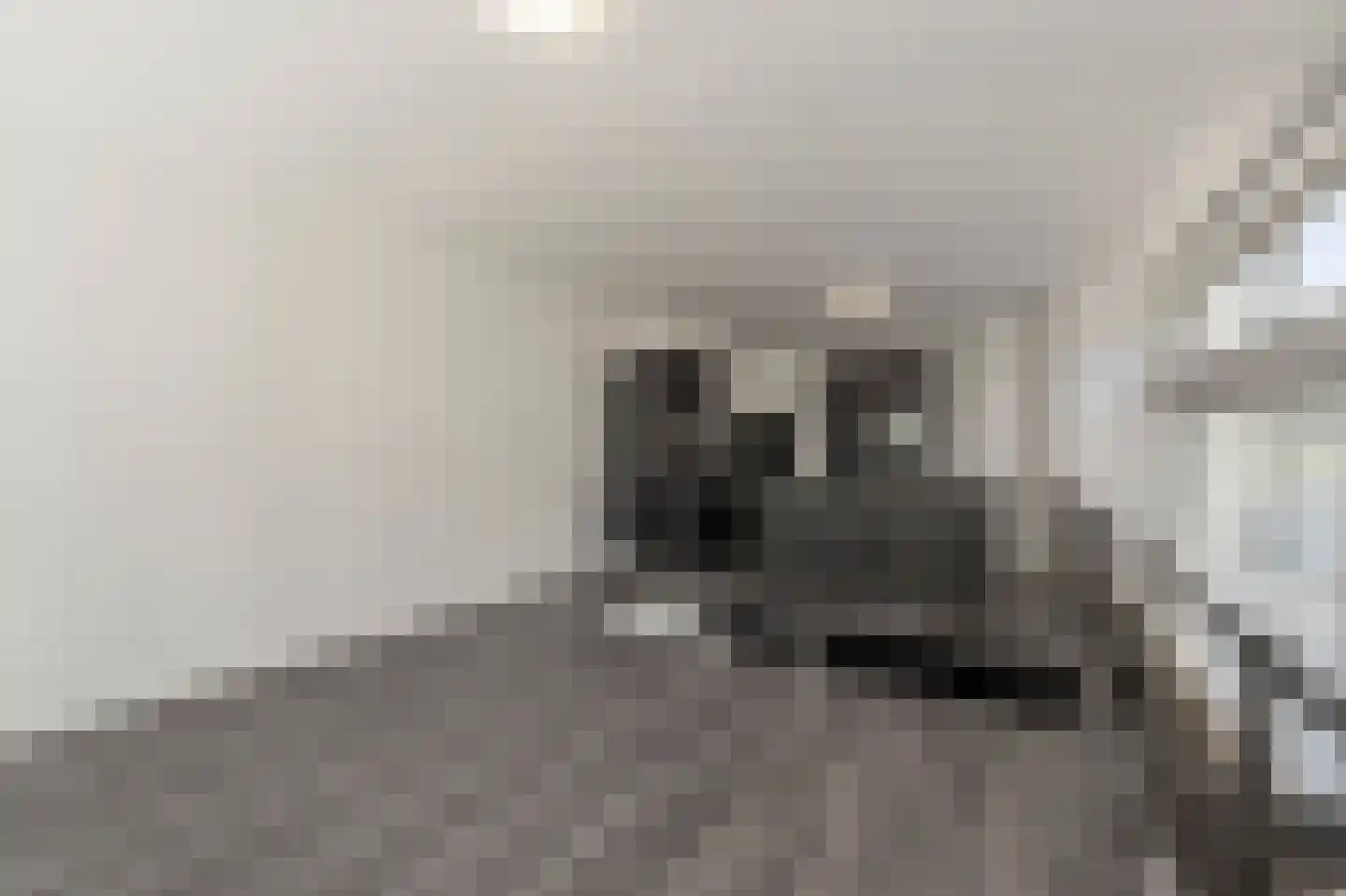 Putsebocht 145 Rotterdam thumbnail 4