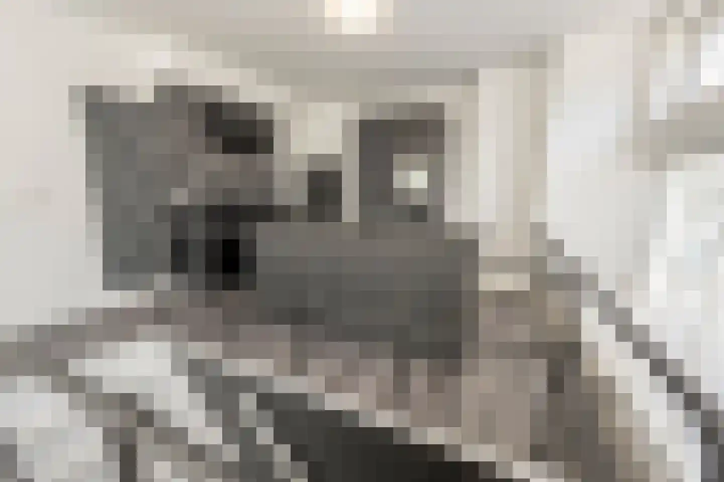 Putsebocht 145 Rotterdam thumbnail 5