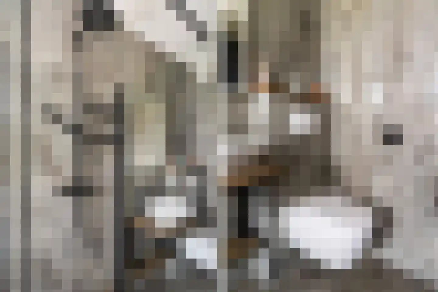 Putsebocht 63 B 01 Rotterdam thumbnail 31