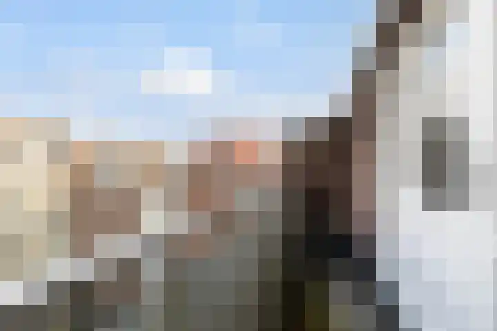 Putsebocht 99 B 03 Rotterdam thumbnail 24